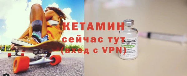 прущие грибы Новодвинск