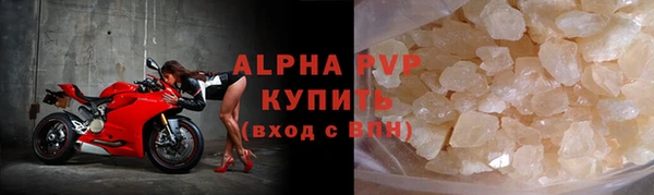 гидра Новозыбков