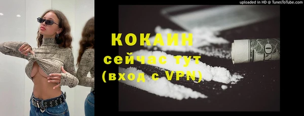 гидра Новозыбков