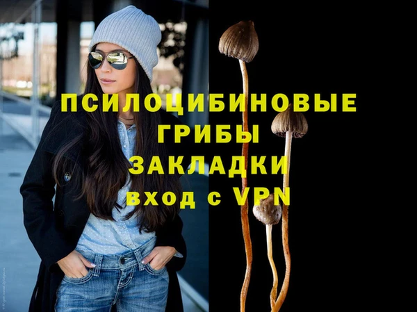 СК Павловск