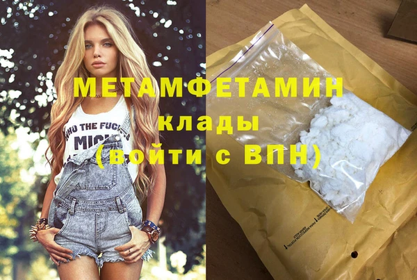 прущие грибы Новодвинск
