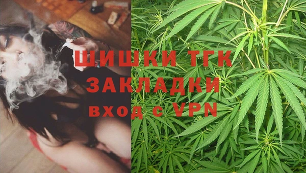 прущие грибы Новодвинск