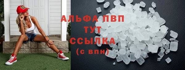 прущие грибы Новодвинск