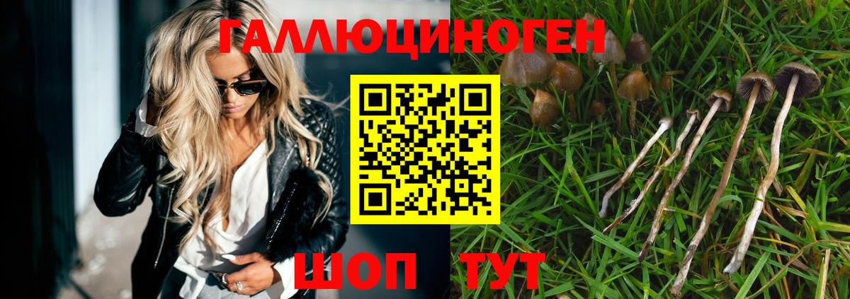 Псилоцибиновые грибы Cubensis  цены   Тулун  Псилоцибиновые грибы мухоморы  Вход с VPN 