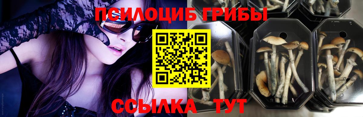 Псилоцибиновые грибы ЛСД Тулун