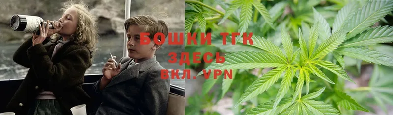 Бошки Шишки THC 21%  Тулун 